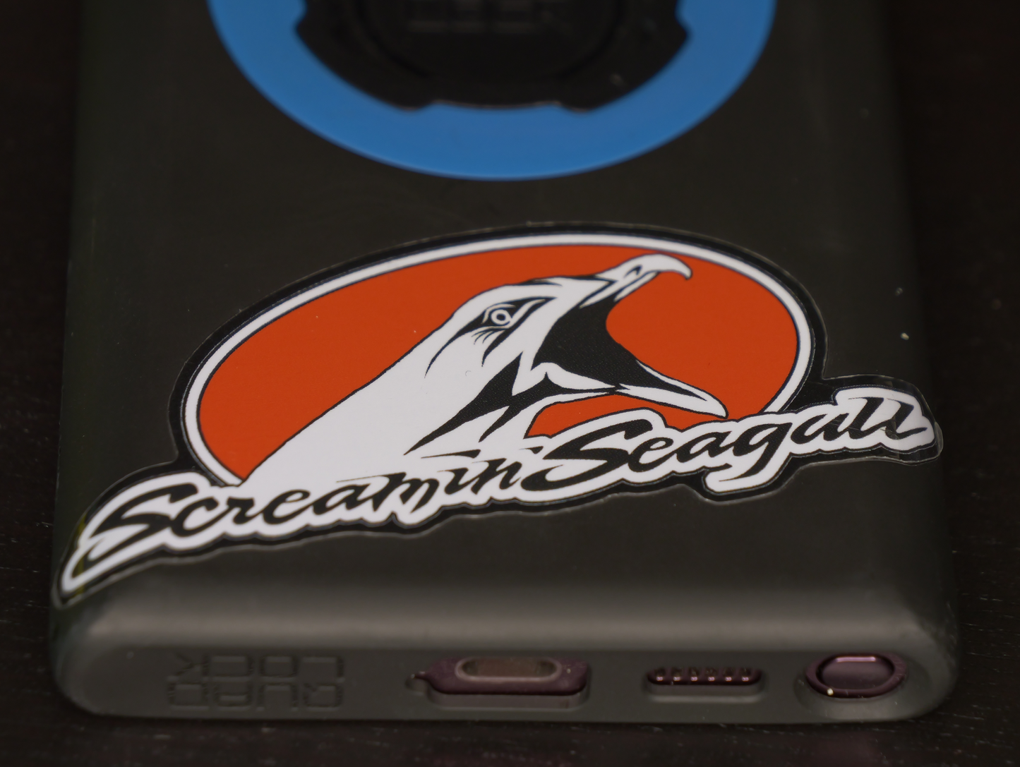 Screamin Seagull Sticker